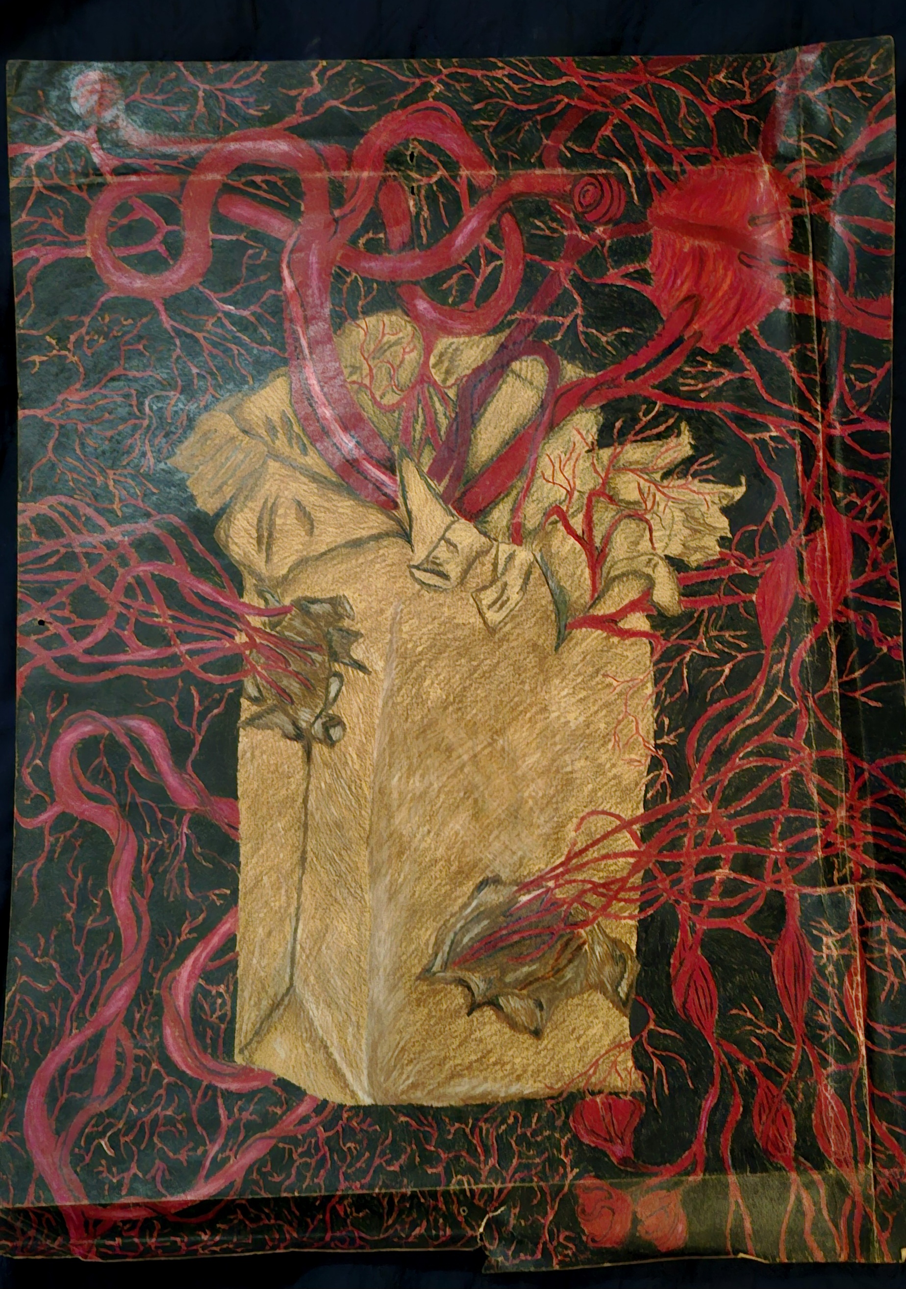 Archive artwork 17