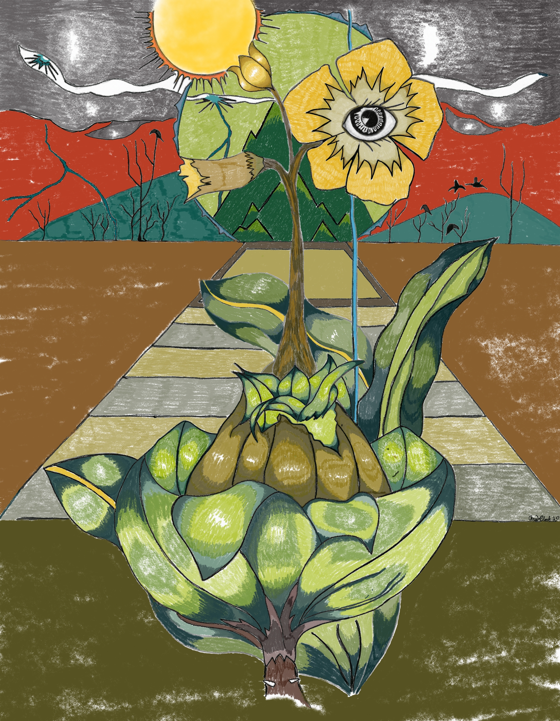 Millennium Traveler photography preview